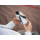 DJI Lito 1 Fly More Combo (RC-N3) - 1517425 - zdjęcie 8